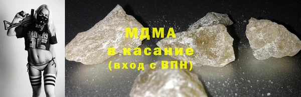 амф Тайга