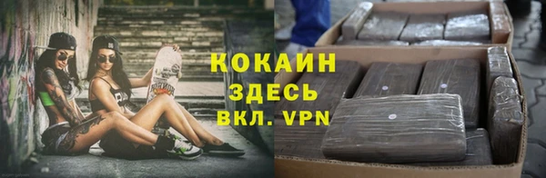 МДПВ Тавда