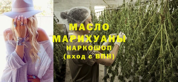 амф Тайга