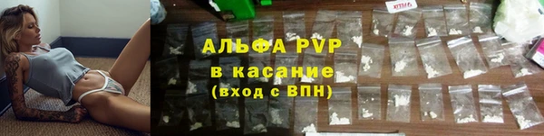 трава Сясьстрой