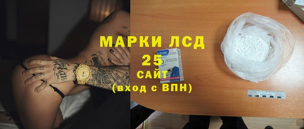 амф Тайга
