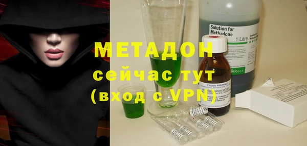 трава Сясьстрой
