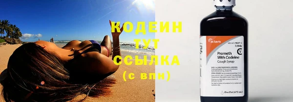 МДПВ Тавда