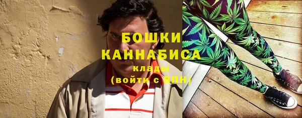 амф Тайга