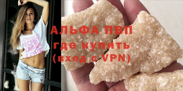 трава Сясьстрой
