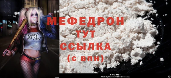 амф Тайга
