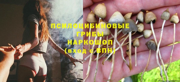 ALPHA PVP Олёкминск