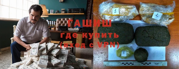 амф Тайга