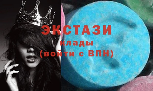 трава Сясьстрой