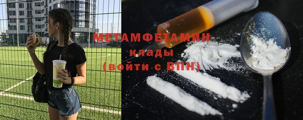 трава Сясьстрой