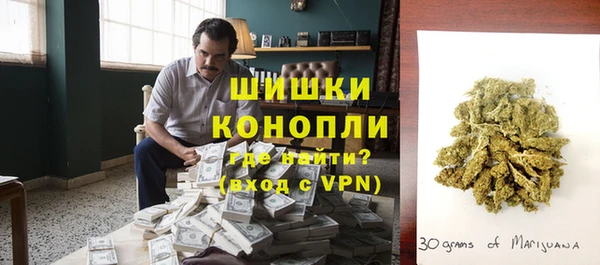 трава Сясьстрой