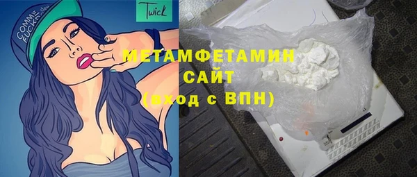 амф Тайга