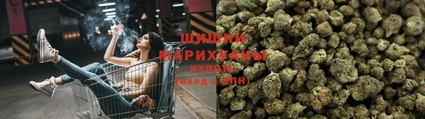 МДПВ Тавда