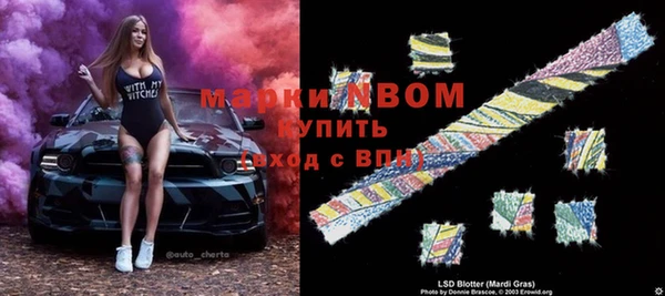 амф Тайга