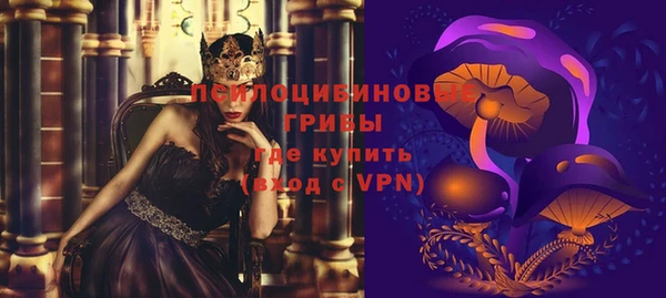 трава Сясьстрой
