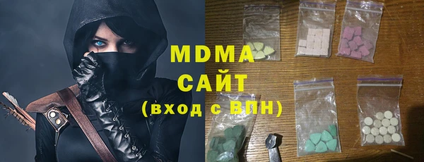 амф Тайга