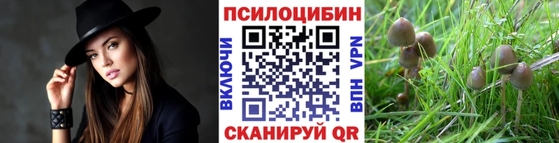 Псилоцибиновые грибы мухоморы что такое Усть-Джегута