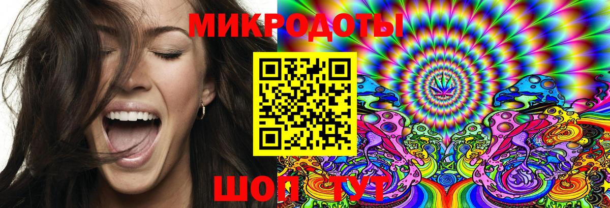 Псилоцибиновые грибы Psilocybine cubensis Усть-Джегута